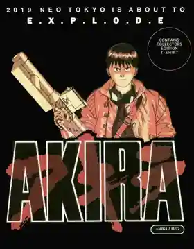 Akira_Disk3