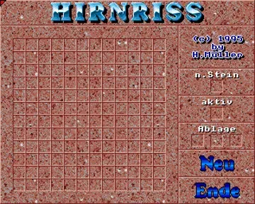 Hirnriss